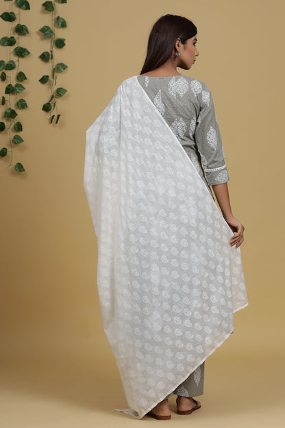 Women's Grey Printed Kurta Set