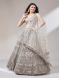 Women's Beige - Net Mirror & Sequins Embroiderey Ready To Wear  Lehenga Choli