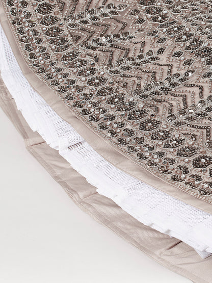 Women's Beige - Net Mirror & Sequins Embroiderey Ready To Wear  Lehenga Choli