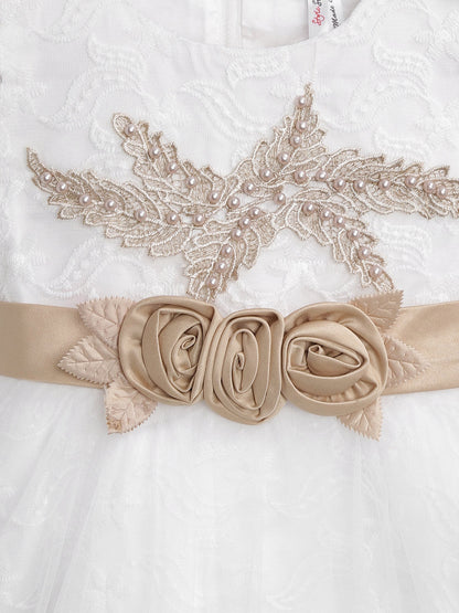 Color_White & Dull Gold