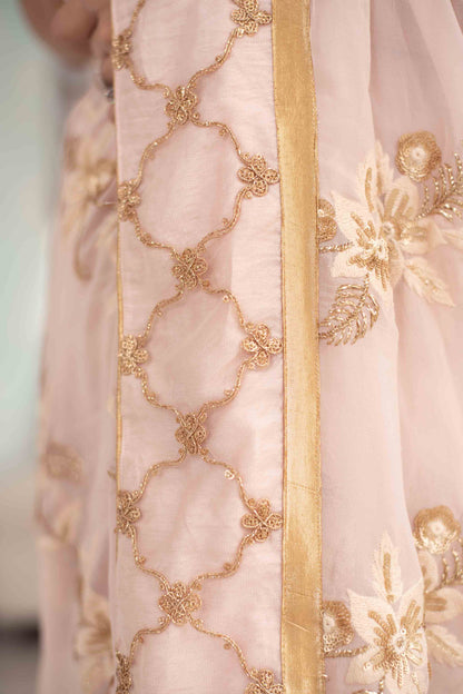 Women's Light Peach Heavy Work Saree