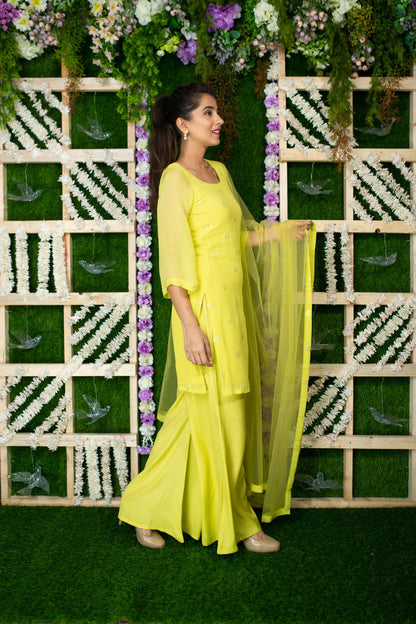 Women's Lime Kurta Sequin Kurta Pallaza Set