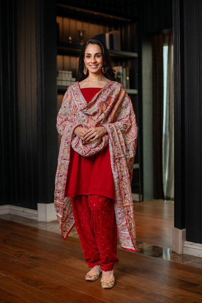 Women's Red Velvet Salwar With Heavy Dupatta