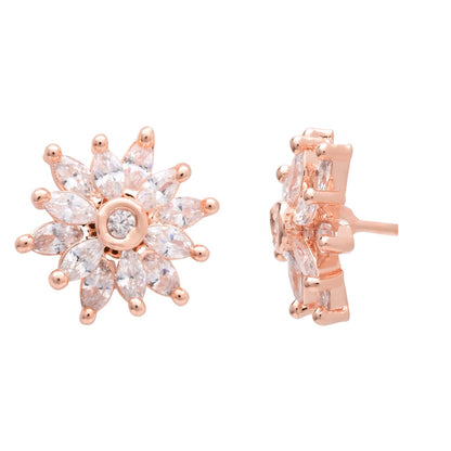 Color_Rose Gold
