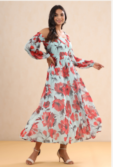 Women's Mint Chiffon Printed Flared Dress