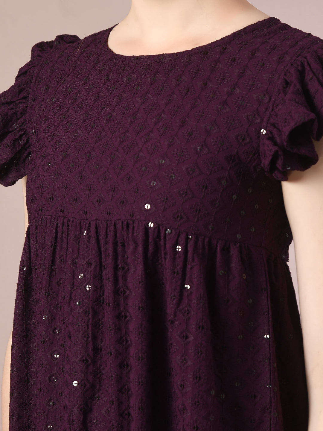 Women's  Violet Embroidered Cotton Round Neck A-Line Party Dress
