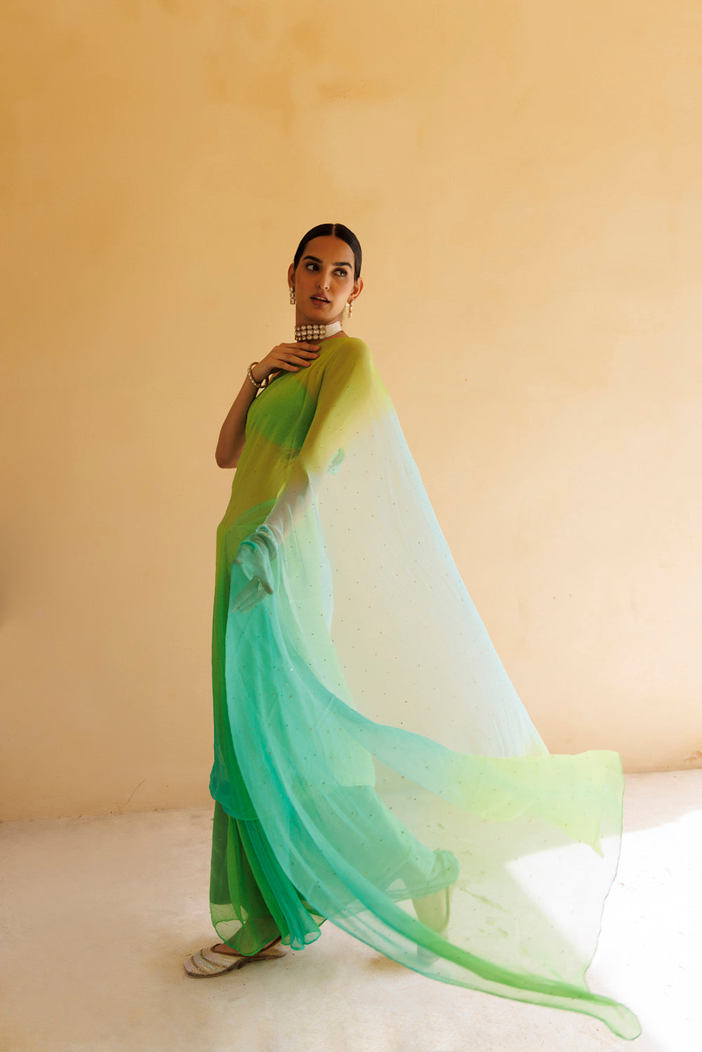Women's Green Shaded Mukaish Hand Embroidered Chiffon Saree