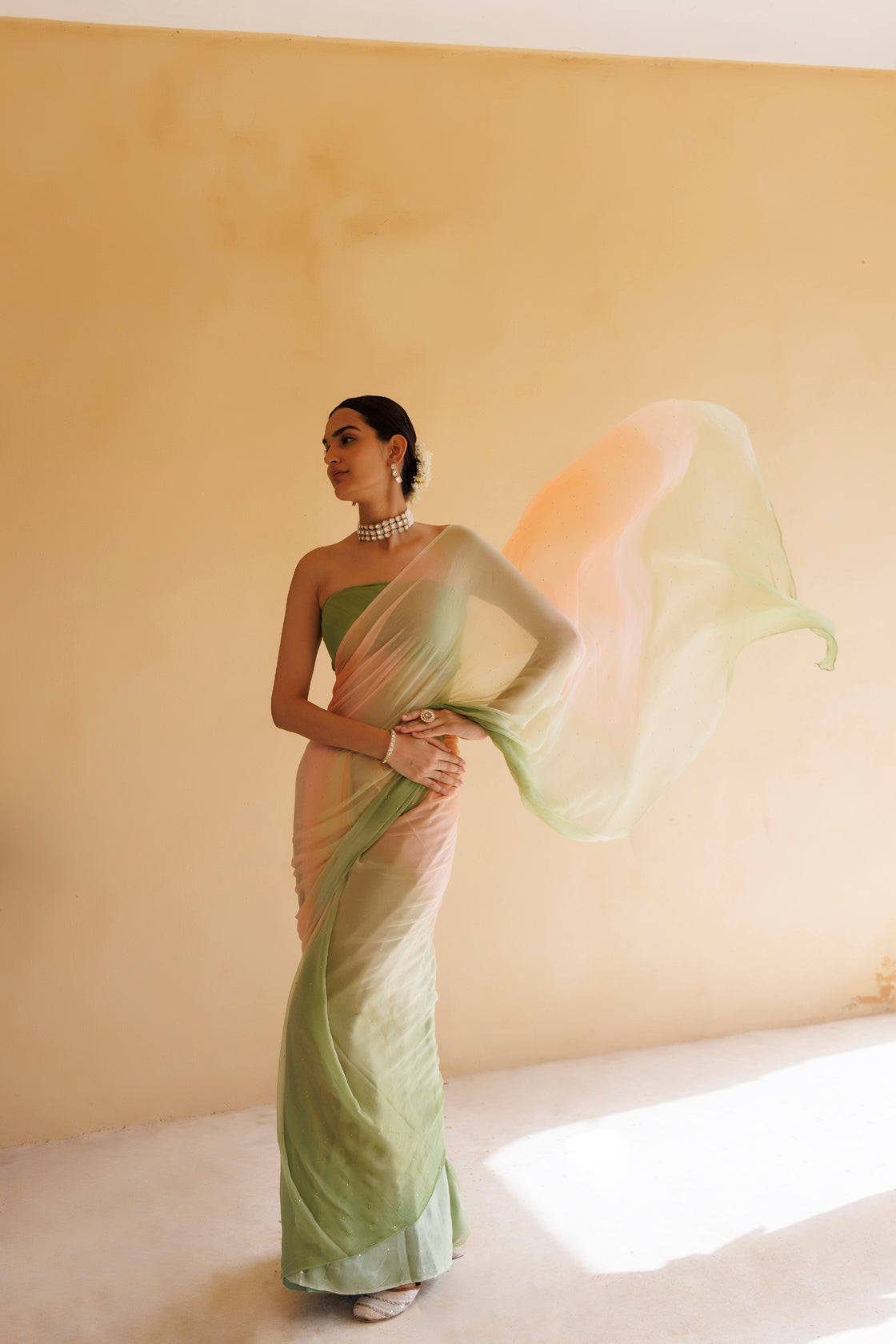 Women's Peach Green Shaded Hand Embroidered Mukaish Chiffon Saree