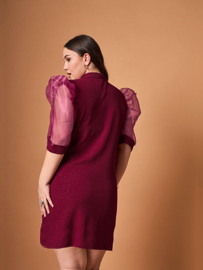 Women's Maroon Solid Dress