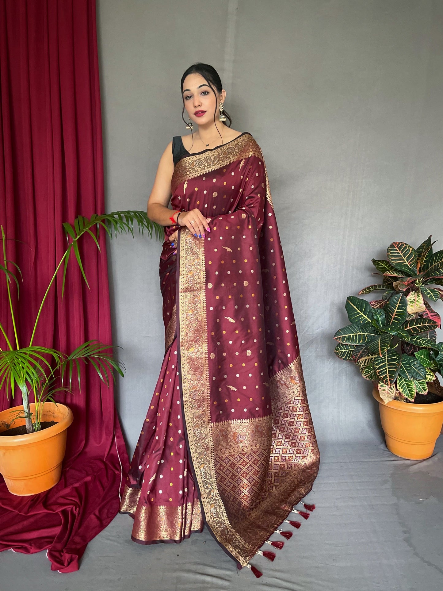 Women's Banarasi Silk Multi Color Zari Woven Saree Brown