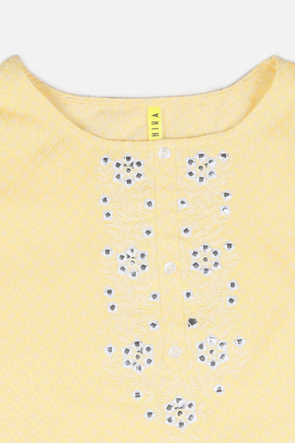 Women's Cotton Embroidered Checked Printed Kurta