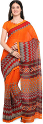 Color_Multi Color