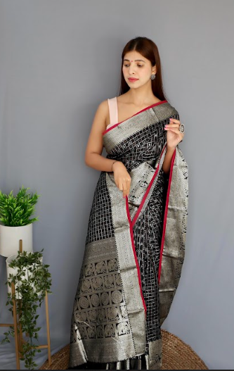 Women's Banarasi Soft Silk Checks Woven Saree Black