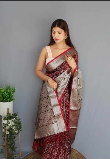 Women's Banarasi Soft Silk Checks Woven Saree Brown